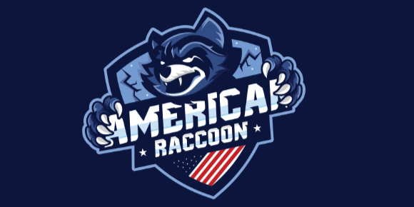 American Raccoon