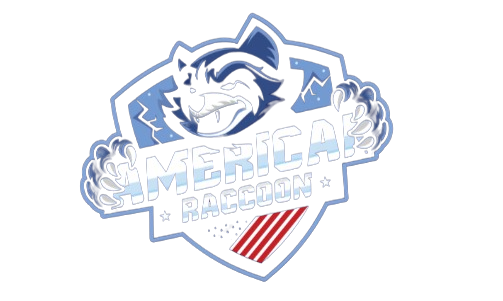 AMERICAN RACCOON